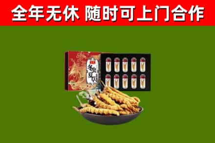 石碣镇回收冬虫夏草价格