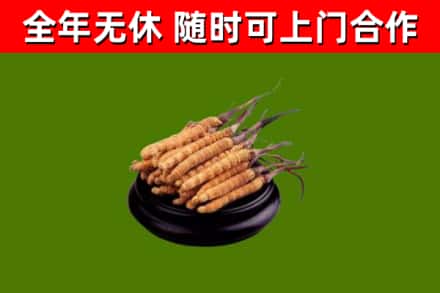 石碣镇烟酒回收冬虫夏草.jpg